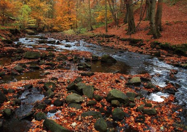 River Wear